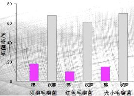 技術驅動下的功能性色紡紗開發與應用前景
